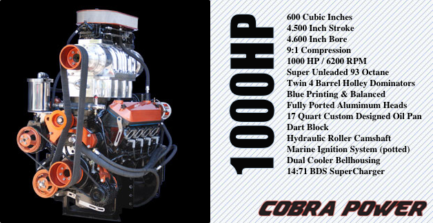 Cobra Power - Mallorca Custom Marine